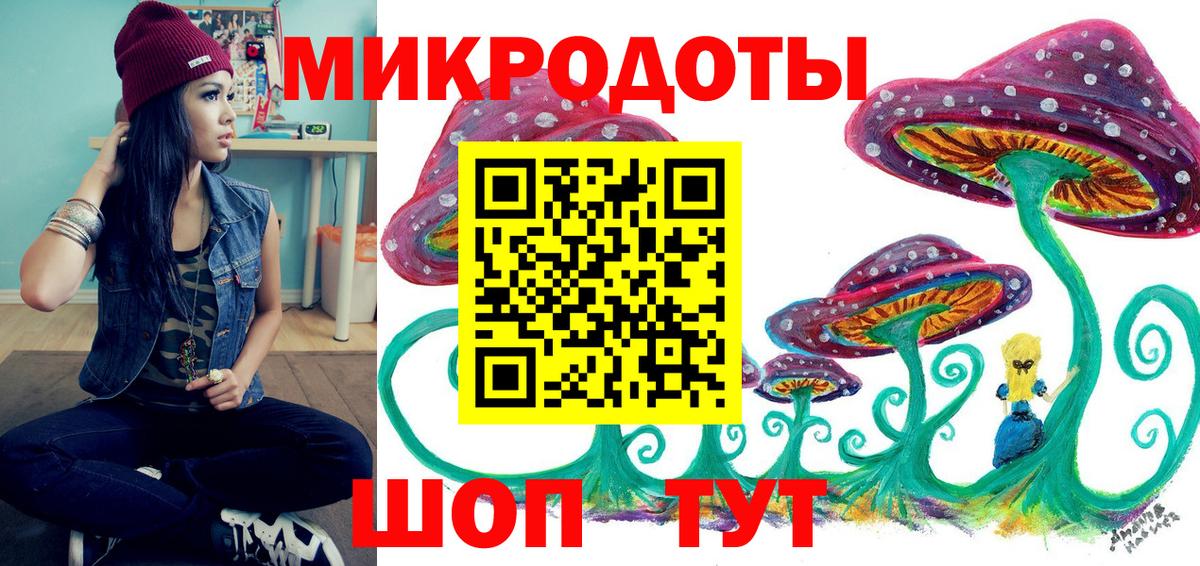 где найти   Псилоцибиновые грибы Magic Shrooms  Вход с VPN  Протвино 