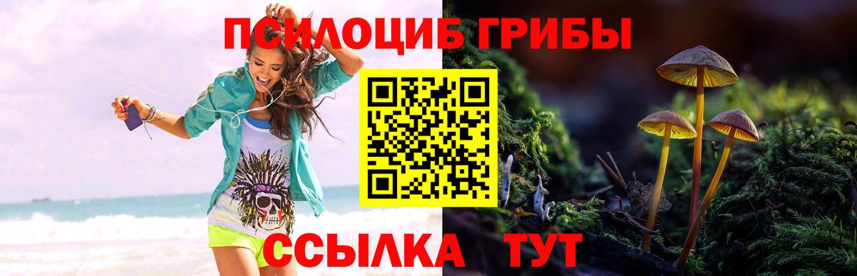 Псилоцибиновые грибы Cubensis Протвино