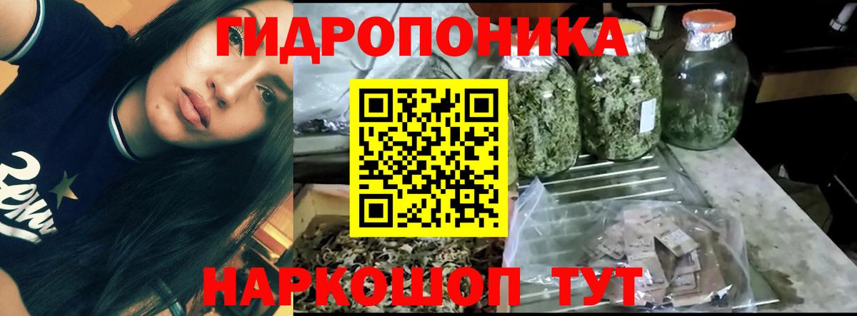 Марихуана индика  Каннабис VHQ  Протвино  Вход с VPN  Бошки Шишки Bruce Banner  Бошки марихуана ГИДРОПОН 